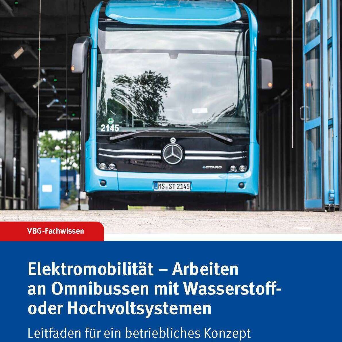 Titelseite VBG-Fachwissen Elektromobilität