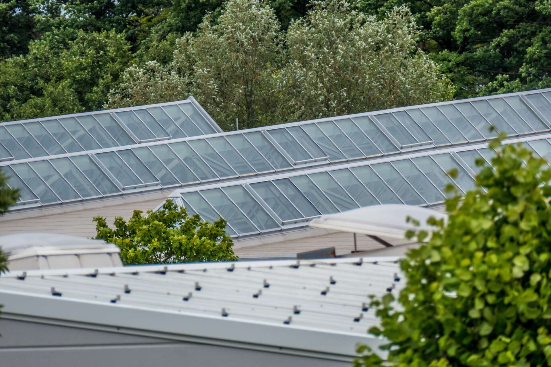 Blick auf das Dach einer Industriehalle mit Dachluken zur Lüftung