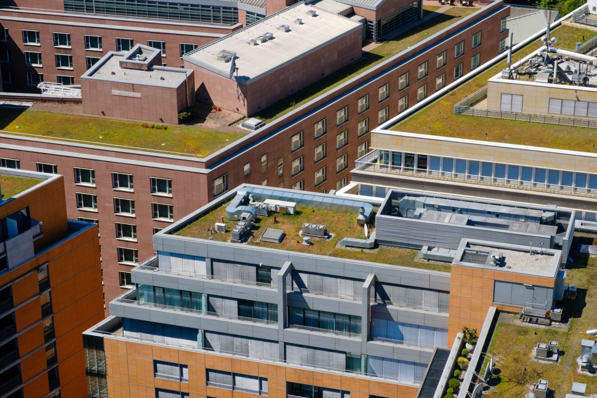 Blick auf die Dächer einer Stadt