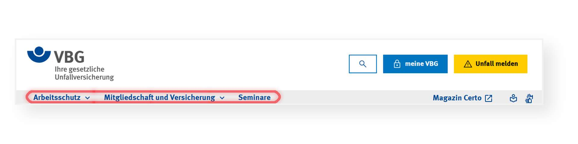 Ausschnitt der Startseite der VBG