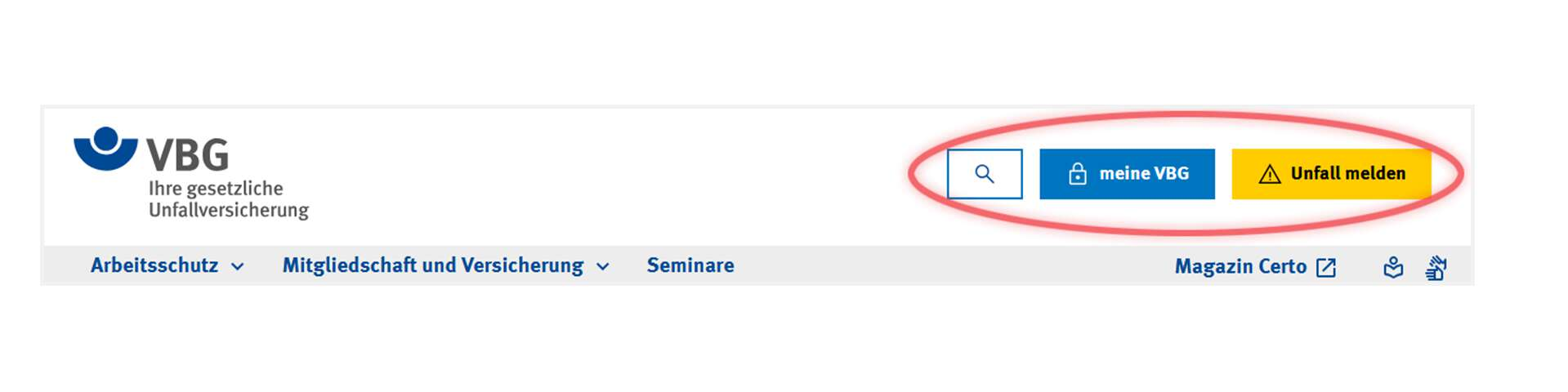 Ausschnitt der Startseite der VBG