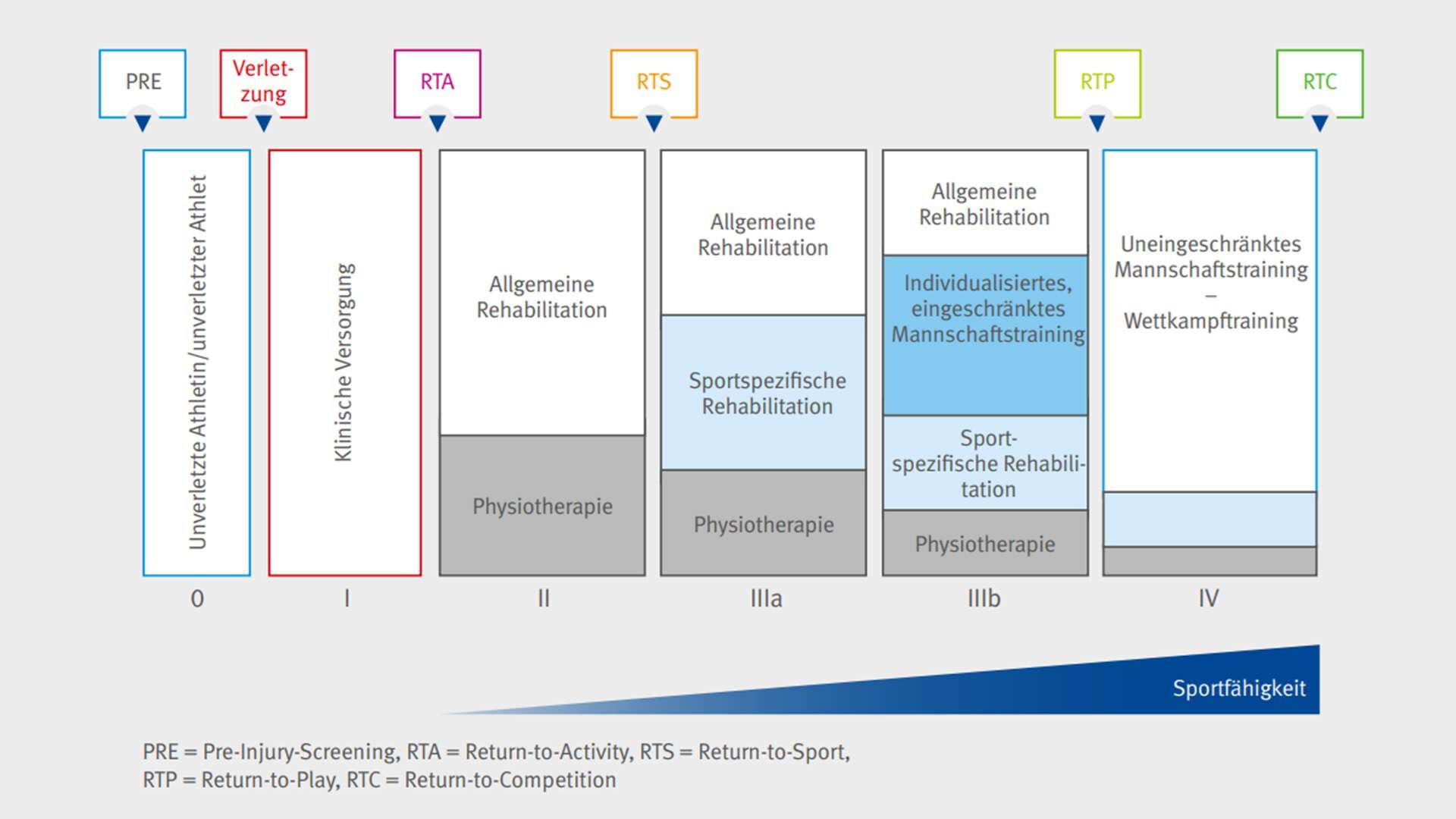 Darstellung der Phasen im Rehabilitationsprozess