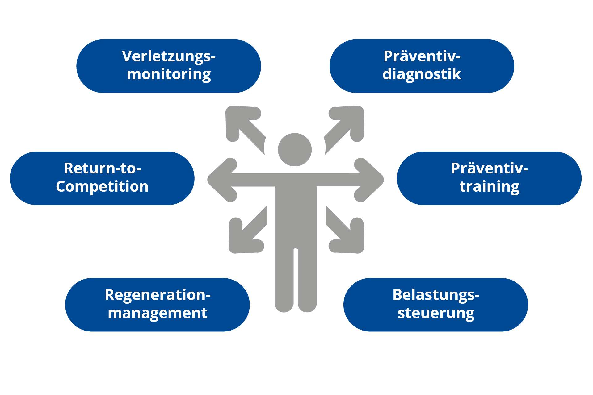 Diagram "Diagnostik" – Nachbau 2025 für NEOS. #hlsebastian
